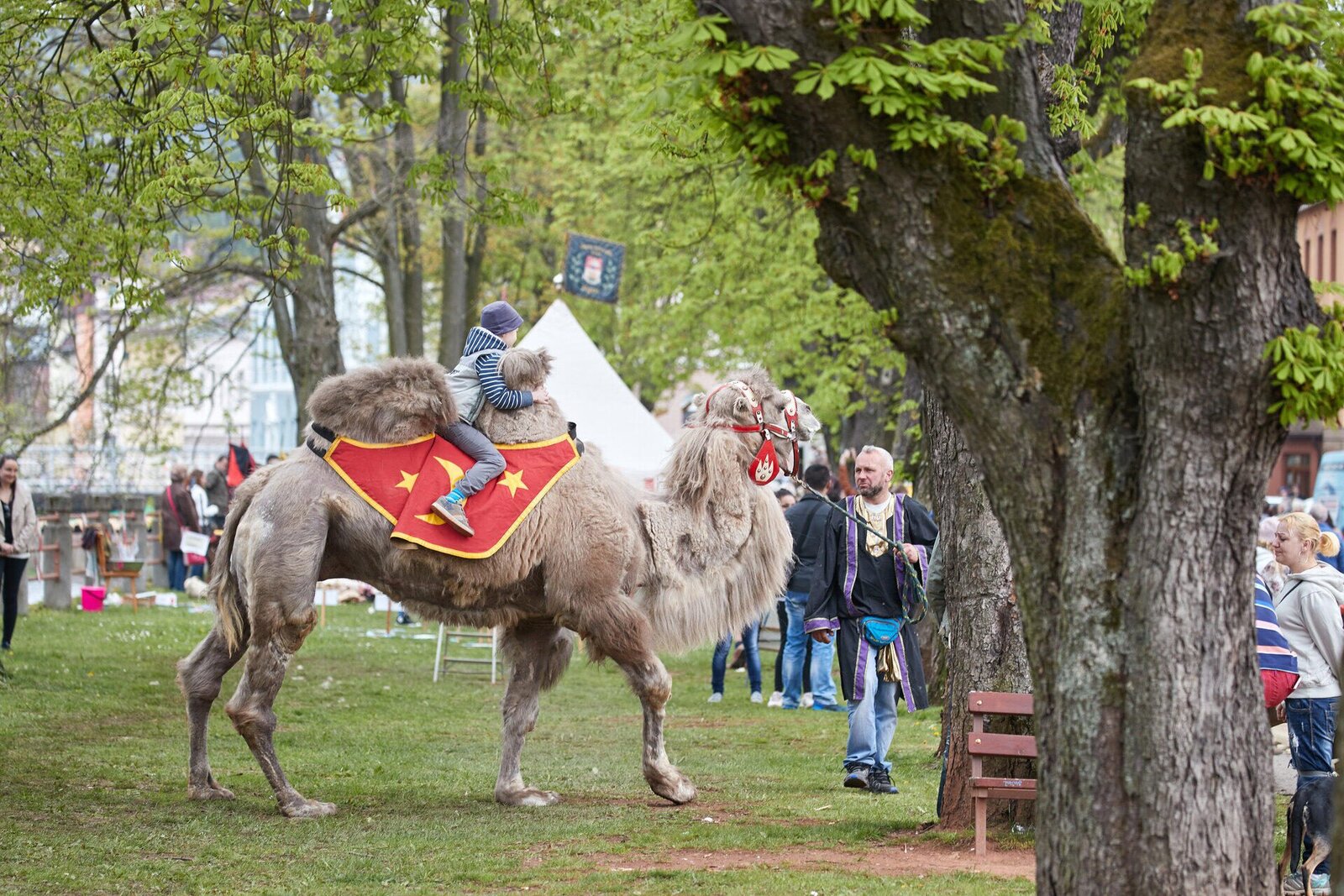 Dračí slavnosti 2017