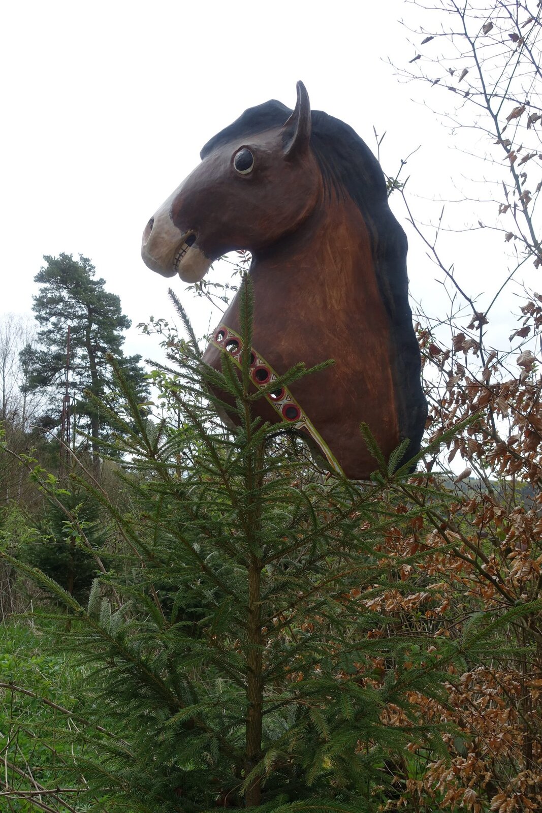 Dračí slavnosti 2023