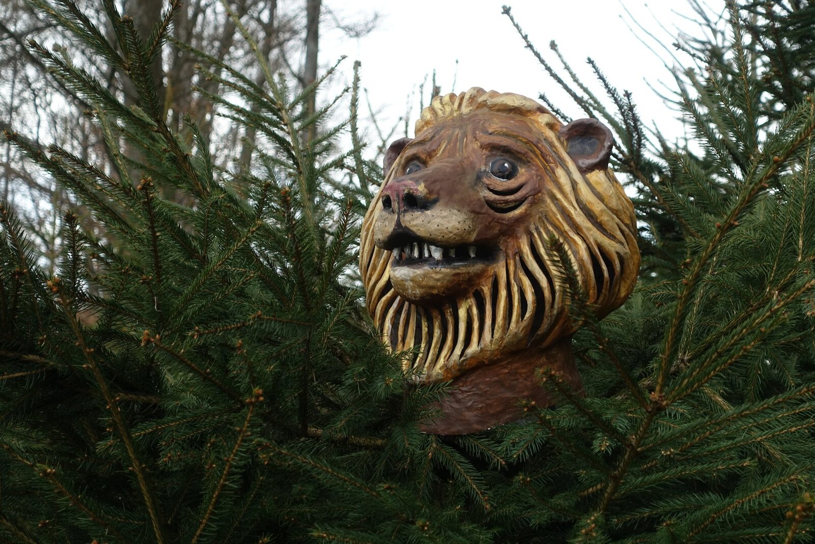 Dračí slavnosti 2023