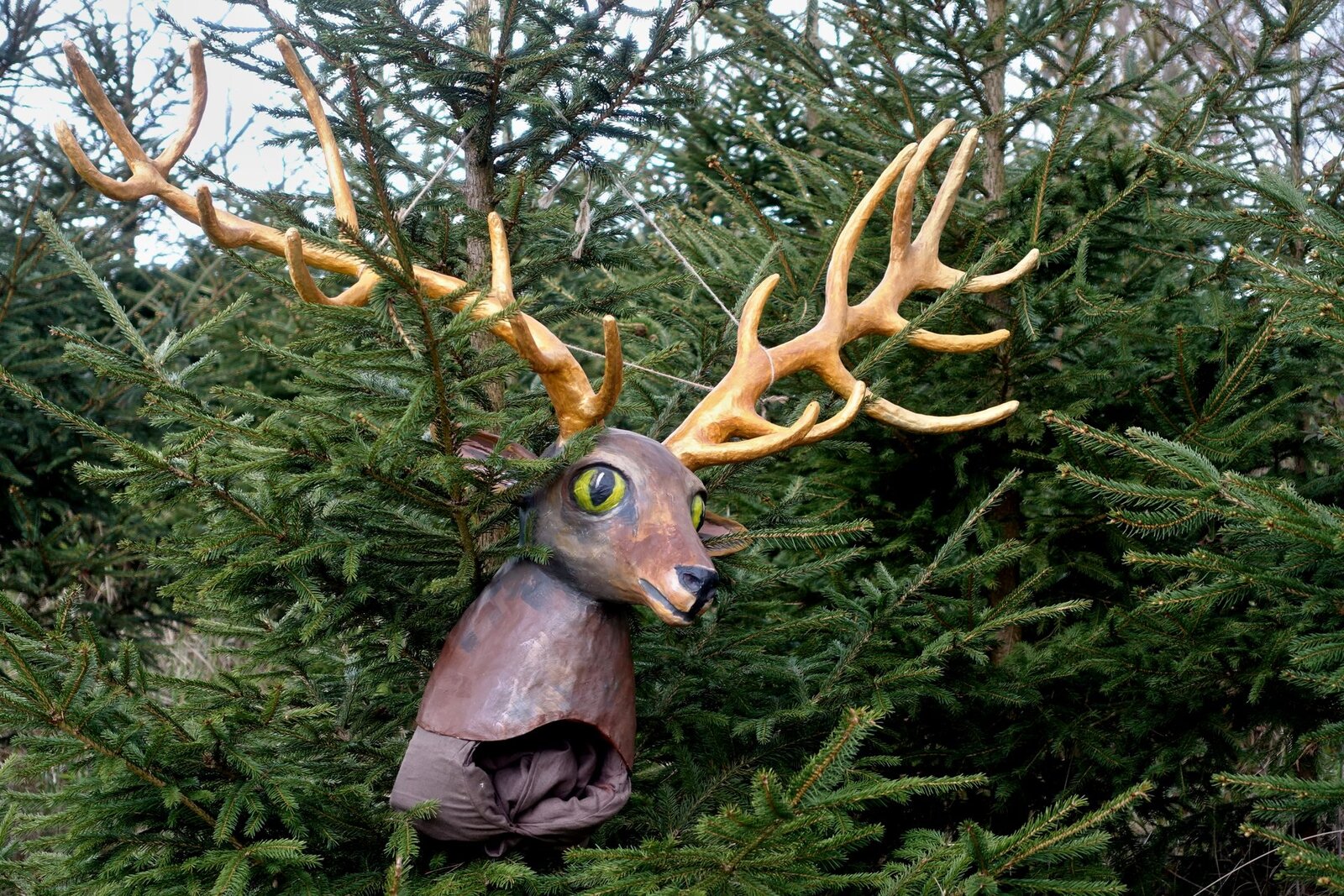 Dračí slavnosti 2023