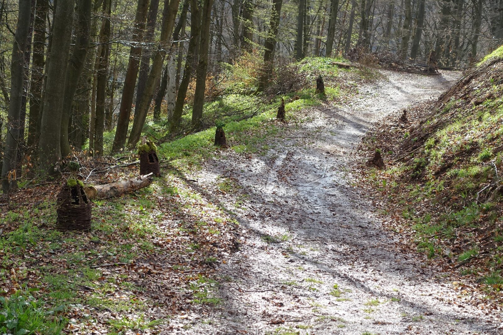 Dračí slavnosti 2023