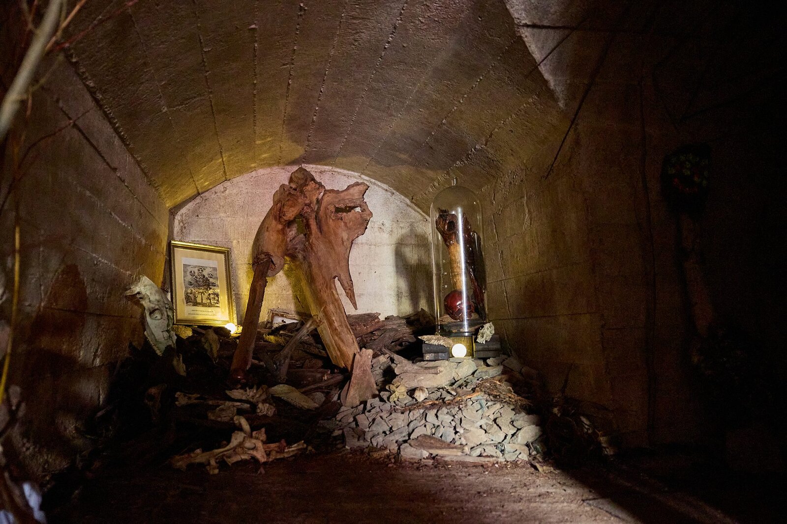 Dračí slavnosti 2023